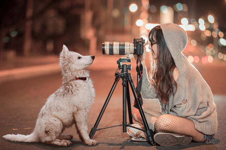 Cursos de fotografía de perros y mascotas online